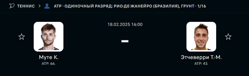 Корентен Муте - Томас Мартин Этчеверри: прогноз на матч 18 февраля 2025